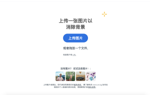 深入解析Remove.bg：一键背景擦除与更换的神奇工具-AI Open：探索人工智能的无限可能